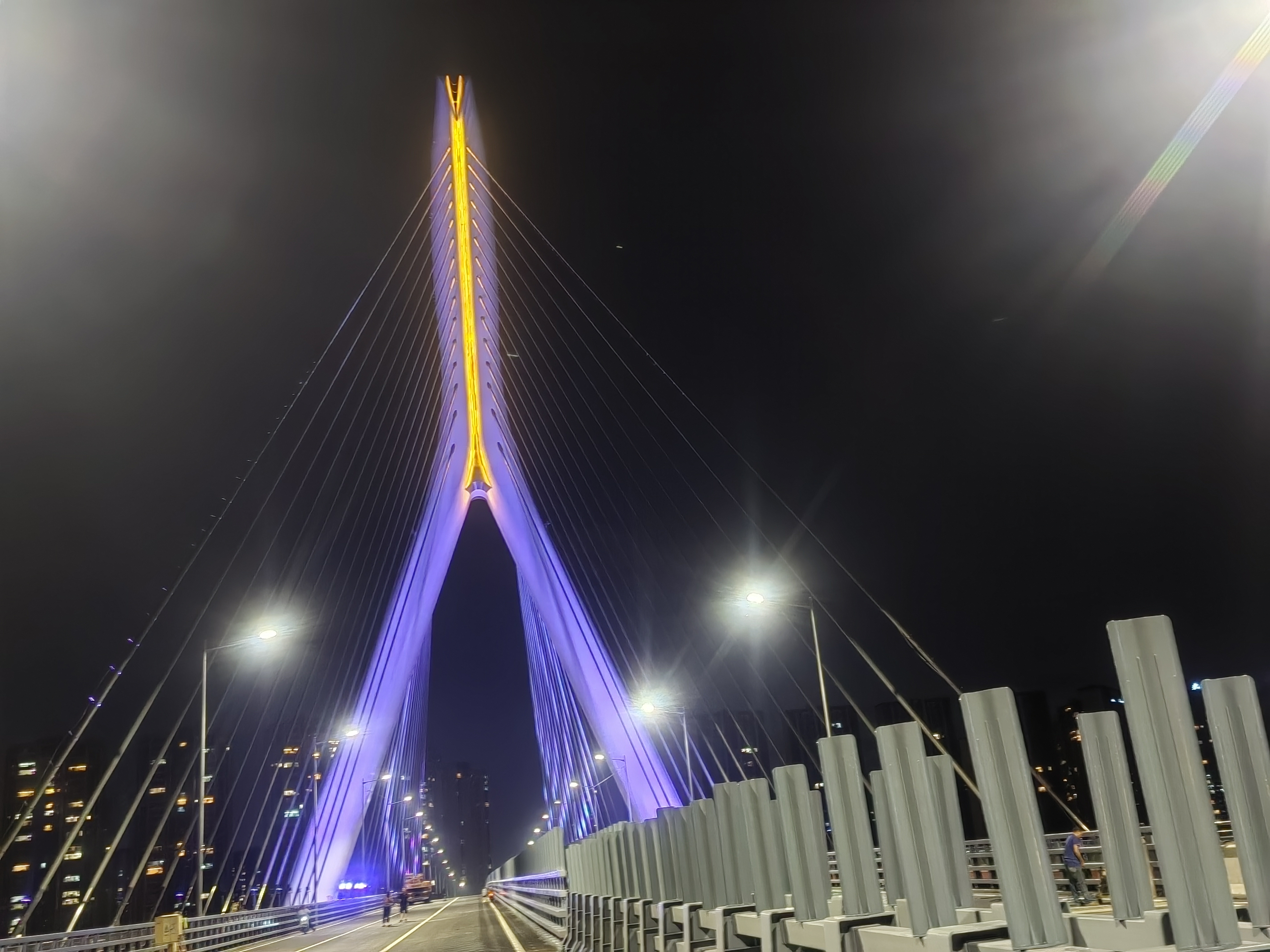 同济大桥 图片2